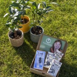 T-Sac Theefilters No.1 -Koffieverkoopwinkel 1200x1200 100