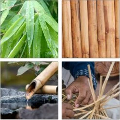 Relaxdays Theedoos 5 Vaks - Theekist - Theezakjeshouder - Bamboe - Voor Ca. 10 Theezakjes 20 Relaxdays Theedoos 5 Vaks - Theekist - Theezakjeshouder - Bamboe - Voor Ca. 10 Theezakjes -Koffieverkoopwinkel 1200x1200 138