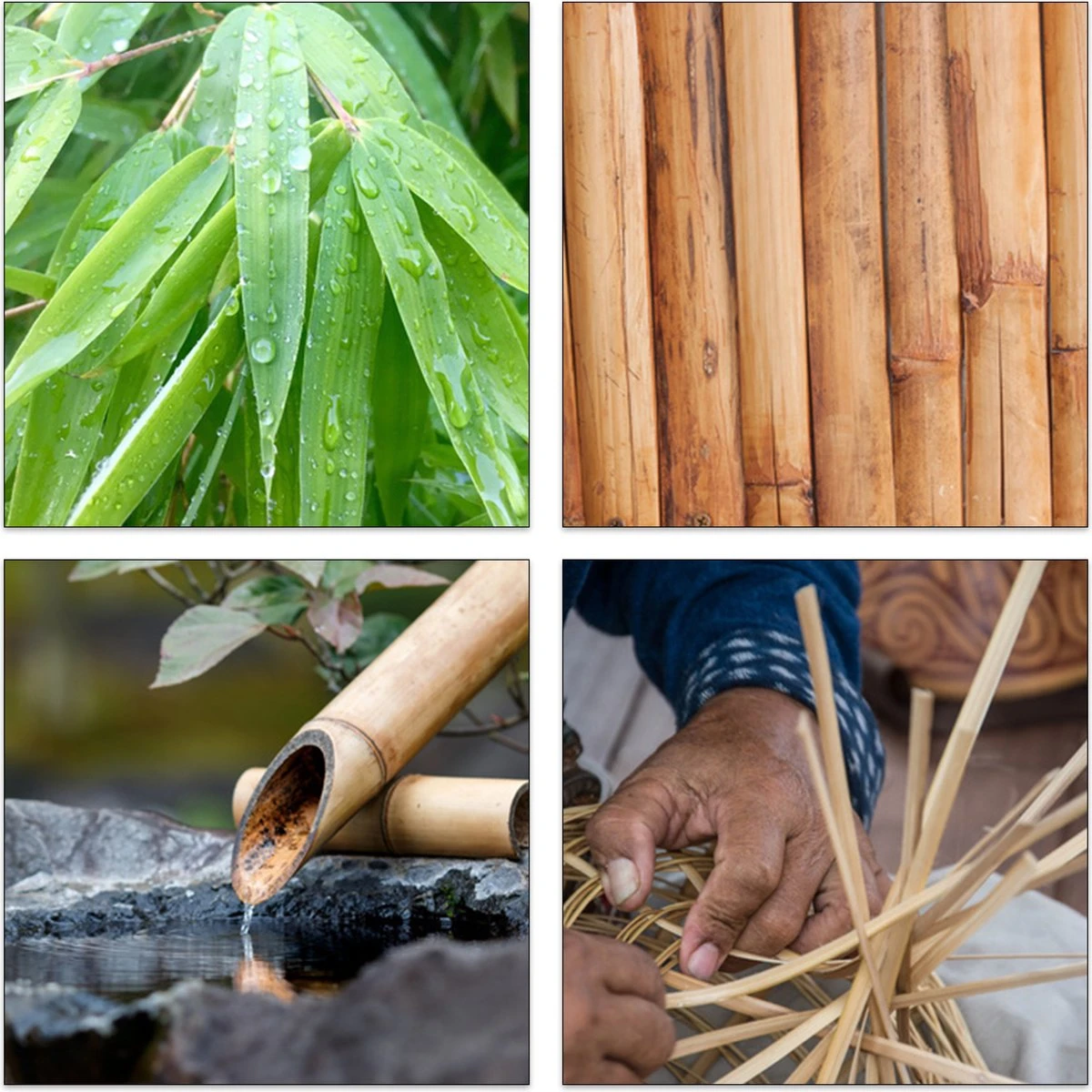 Relaxdays Theedoos 5 Vaks - Theekist - Theezakjeshouder - Bamboe - Voor Ca. 10 Theezakjes 10 Relaxdays Theedoos 5 Vaks - Theekist - Theezakjeshouder - Bamboe - Voor Ca. 10 Theezakjes - Afbeelding 8