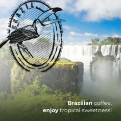 Soolong Enjoy Brazilie Nr4000 Koffiebonen Topacio Lungo - Speciality Koffie Arabica Medium Roast, Light Body Met Een Verfijnde Zacht Zoete Smaak. - Zak 250gram 17 Soolong Enjoy Brazilie Nr4000 Koffiebonen Topacio Lungo - Speciality Koffie Arabica Medium Roast, Light Body Met Een Verfijnde Zacht Zoete Smaak. - Zak 250gram -Koffieverkoopwinkel 1200x1200 818