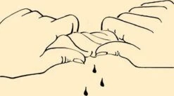 Merkloos Drie Wasbare Koffiefilters Herbruikbaar - Ongebleekt Biologisch Katoen - Wasbaar - Zero Waste - Duurzaam 14 Merkloos Drie Wasbare Koffiefilters Herbruikbaar - Ongebleekt Biologisch Katoen - Wasbaar - Zero Waste - Duurzaam -Koffieverkoopwinkel 1200x664