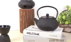 Bredemeijer - Theepot Jang 0,8L Gietijzer Zwart -Koffieverkoopwinkel 1200x719 1