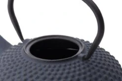 Bredemeijer - Theepot Xilin 1,25L Gietijzer Blauw -Koffieverkoopwinkel 1200x800 34