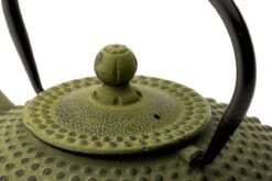 Bredemeijer - Theepot Xilin 1,25L Gietijzer Groen 15 Bredemeijer - Theepot Xilin 1,25L Gietijzer Groen -Koffieverkoopwinkel 1200x800 40