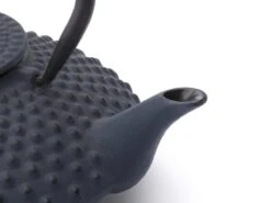 Bredemeijer - Theepot Xilin 1,25L Gietijzer Blauw -Koffieverkoopwinkel 1200x900 32