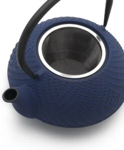 Bredemeijer Theepot Fujian 1.2L Met Filter Kobalt Blauw -Koffieverkoopwinkel 996x1200 1